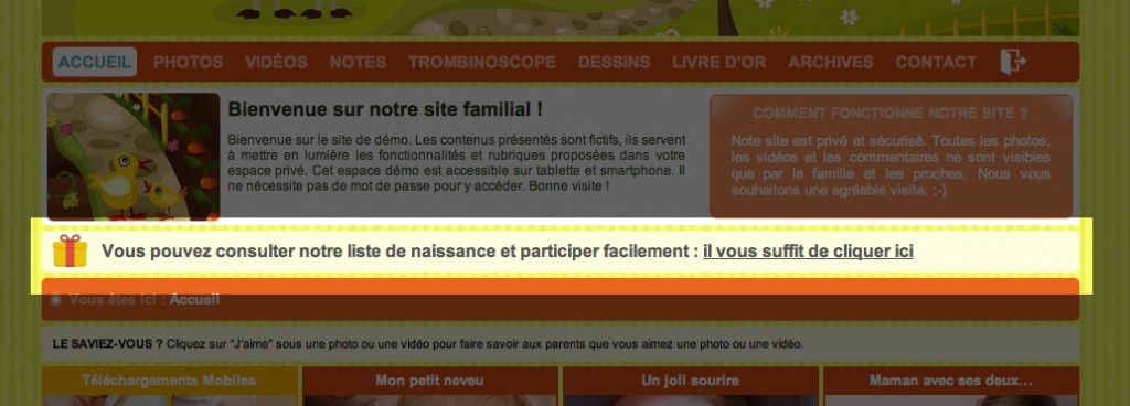 Vous pouvez afficher votre liste de naissance sur votre blog privé