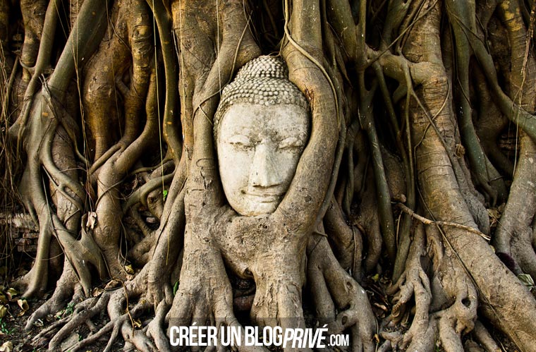 Le Wat Phra Mahathat est surtout connu pour sa tête de Bouddha coincée entre les racines d'un figuier